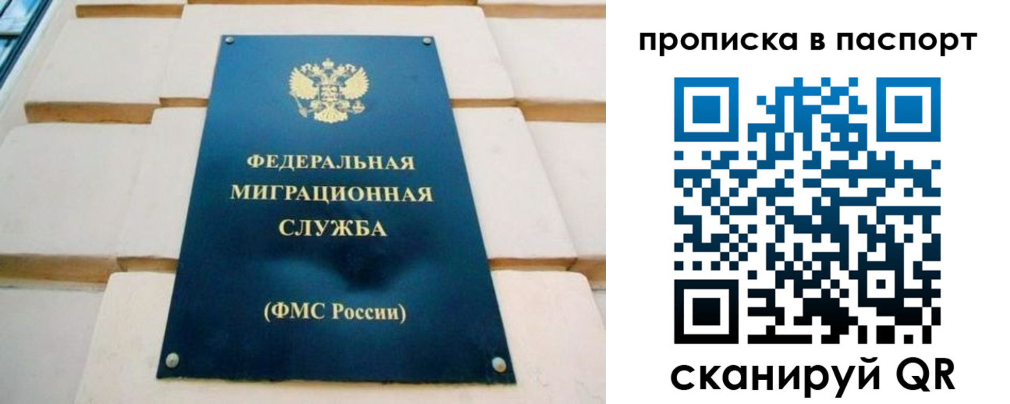 временная регистрация гарантия в Липецкая области